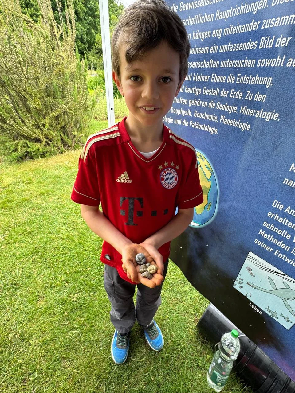 Bild 13: ...zum Beispiel diese schönen Seeigel.