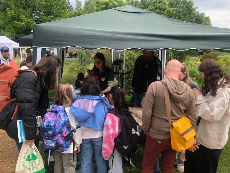 Bild 3: ...aber am Nachmittag war er so richtig voll!