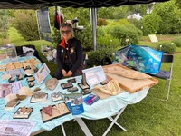 Bild 6: Viele Fossilien lagen aus, außerdem rezente Objekte wie der Haikiefer und der präparierte Katzenhai