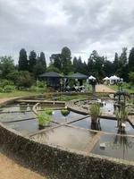 Bild 8: Wie in de letzten Jahren erhielt das Goldfuß-Museum seinen Platz direkt am Teich.