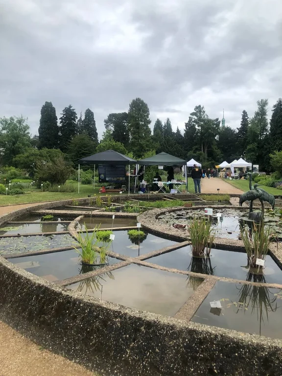 Bild 8: Wie in de letzten Jahren erhielt das Goldfuß-Museum seinen Platz direkt am Teich.