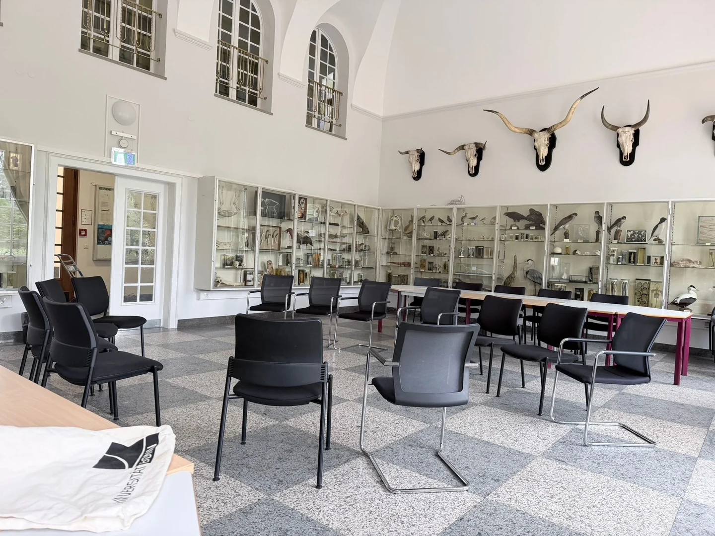 Bild 2: Im Gartensaal des Poppelsdorfer Schlosses ist nicht nur viel Platz sondern auch viel zu entdecken! Demnächst werden die vielen zoologischen Exponate mit paläontologischen ergänzt