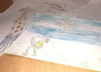 Die vielen schönen Bilder des Malwettbewerbes haben unsere Ausstellung wirklich bereichert!