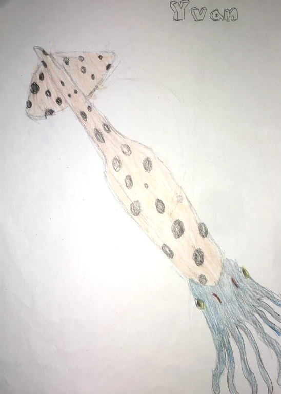 Yvans großer Belemnit hat den zweiten Platz belegt. Mit seinen lebhaften Augen scheint es, als würde er uns aus der Vergangenheit heraus anschauen!