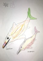 Malte hat die beiden Ichthyosaurier, Ophtalmosaurus und Stenopterygius, kunterbunt dekoriert.