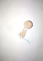 Lara hat einen liebenswerten, kleinen Ammonit mit Blubberblasen gemalt.