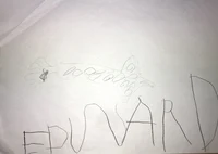 Edward hat einen tollen grün-grauen Belemniten gemalt.