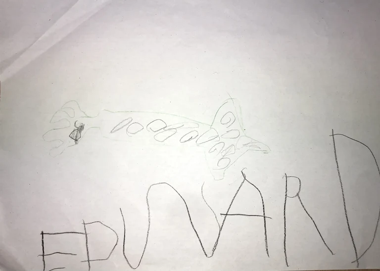 Edward hat einen tollen grün-grauen Belemniten gemalt.