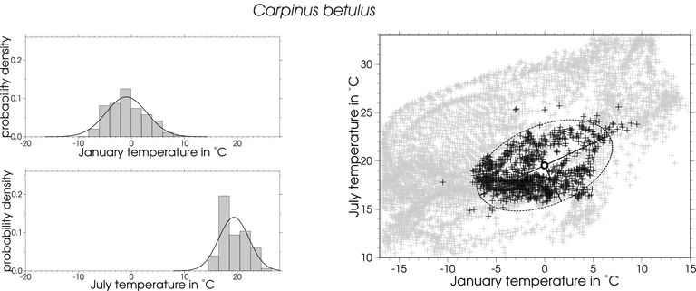 Abb. 1_Carpinus_pdf_aglitt_aglitt_.jpg
