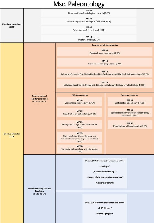 MSc Paleontology Studienverlaufsplan